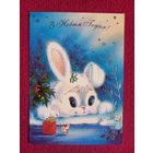 С Новым Годом! Белпочта 2001 г. Чистая.