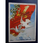 1 мая.  1957 г.  Новостойки, голуби.