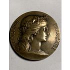 Медаль приз за стрельбу, Министерство войны. Франция