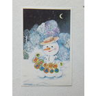 Величкина с новым годом 1987  9х14 см