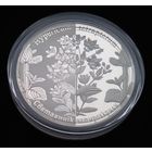 Зверобой четырехкрылый. 1 рубль