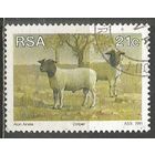 ЮАР. Овцы. 1991г. Mi#815.