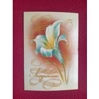 Поздравляю! Воронин 1984 г. Чистая.