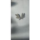 Ученическая кокарда