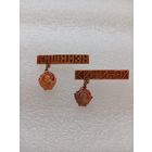 Кишинев. Молдавия. Орден Ленина. Две разновидности. Цена указывается за один значок. #-VI-02