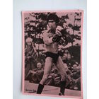 Календарик 1901-2000 г Брюс Ли.