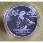 Заказник, Ельня, 2021г.