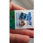 Серебряный шарм фристайл Сочи