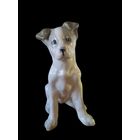 С РУБЛЯ! Щенок дога, ЗИК Конаково