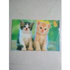 Карманный календарик. Кошки . 1996 год