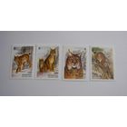 WWF. Рысь. 4м. 2000