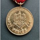 Медаль "За Заслуги на пожаре" Польша