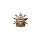 Кокарда Армия Венгрии "Звезда КНТ"