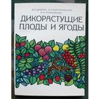 Дикорастущие плоды и ягоды. Д.К.Шапиро. Михайловская, Н. И. Н.И.Манциводо. 1981 г.