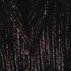 Пальто женское