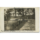 3-й Нижнеэльзасский пехотный полк 138 (Беларусь, Поставский район. Фото 2)