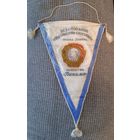 Большой вымпел. ВФСО. Динамо.