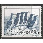 Швеция. Тонкоклювая кайра. 1976г. Mi#937.