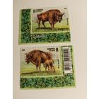 Беларусь  2024  2 м зубры