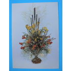 Ткаченко С.(фото), С днем рождения! 1989, чистая.