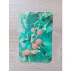 Календарик 1991