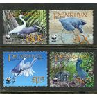 Пенрин. Фауна. Восточная рифовая цапля