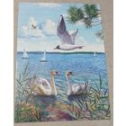 Посткроссинг. Открытка Национальный парк Нарочанский (10х15). Прошла почту. Художественные марки, чёткий штемпель.