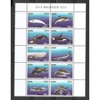 ФФ3 Аруба 2012 Киты