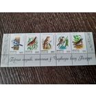 Беларусь 1998 птицы