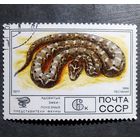 Марка СССР 1977 год Фауна