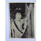 Календарик 1901-2000 г.  Брюс Ли.