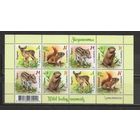 ФФ1 Беларусь 2021 Зверята