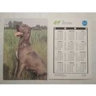 Карманный календарик. Собака.1993 год