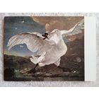 Асселин. Разъяренный лебедь. Издание Голландии