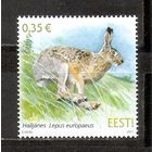 ФФ1 Эстония 2011 Заяц стандарт