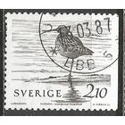 Швеция. Средний кроншнеп. 1986г. Mi#1377.