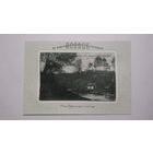 Открытка Полоцк