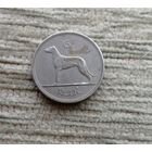 Werty71 Ирландия 6 пенсов 1962 ирландский волкодав