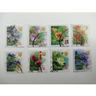 Украина 2003-2006. Шестой выпуск стандартных марок