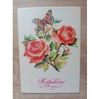 Манилова 1982 чистая