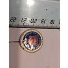 Значок Швеция эмали