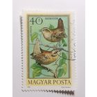 Венгрия 1973. Птицы