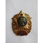 Знак. Значок. "Выпускнику Суворовского Военного Училища". "Об окончании СВУ".