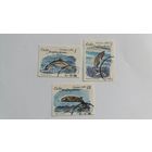 Куба 1980 3м дельфины