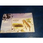 Беларусь 2007 соловей