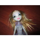 Monster High . Кукла Монстер Хай