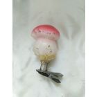 Гриб Боровик.Каталог.