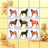 Россия.2002, 15 марта. Фауна. Собаки.МЛ**.