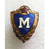 Знак. Классность солдатская Мастер. ВС СССР. Тяжелый. Винт #0108-MB01