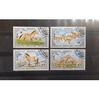 Монголия. 1986 год. Фауна. Лошади (104)